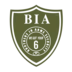 Brothers In Arms Security logo